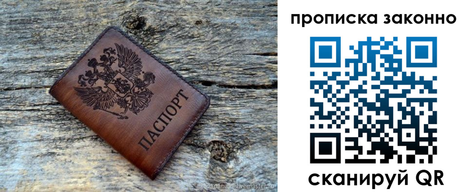 прописка для школы в Чкаловске